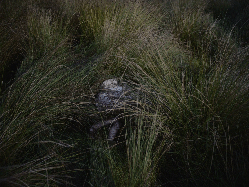 Principio y final de&nbsp;Cáit